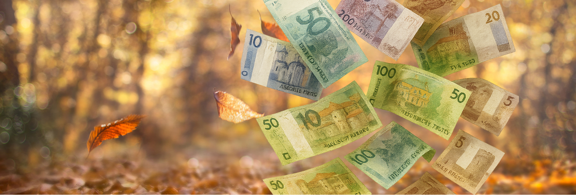 А у нас осенний ценопад!